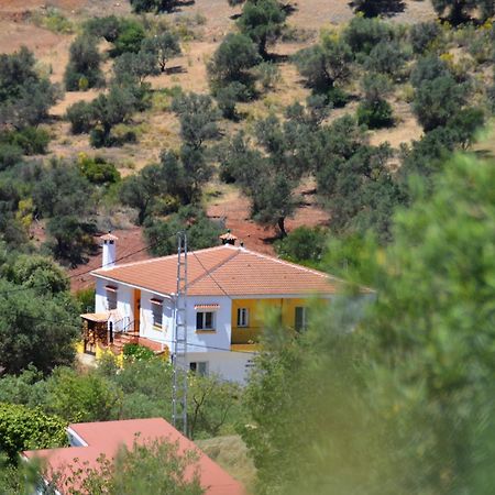B&B Casa El Corasueno Almogía Eksteriør bilde