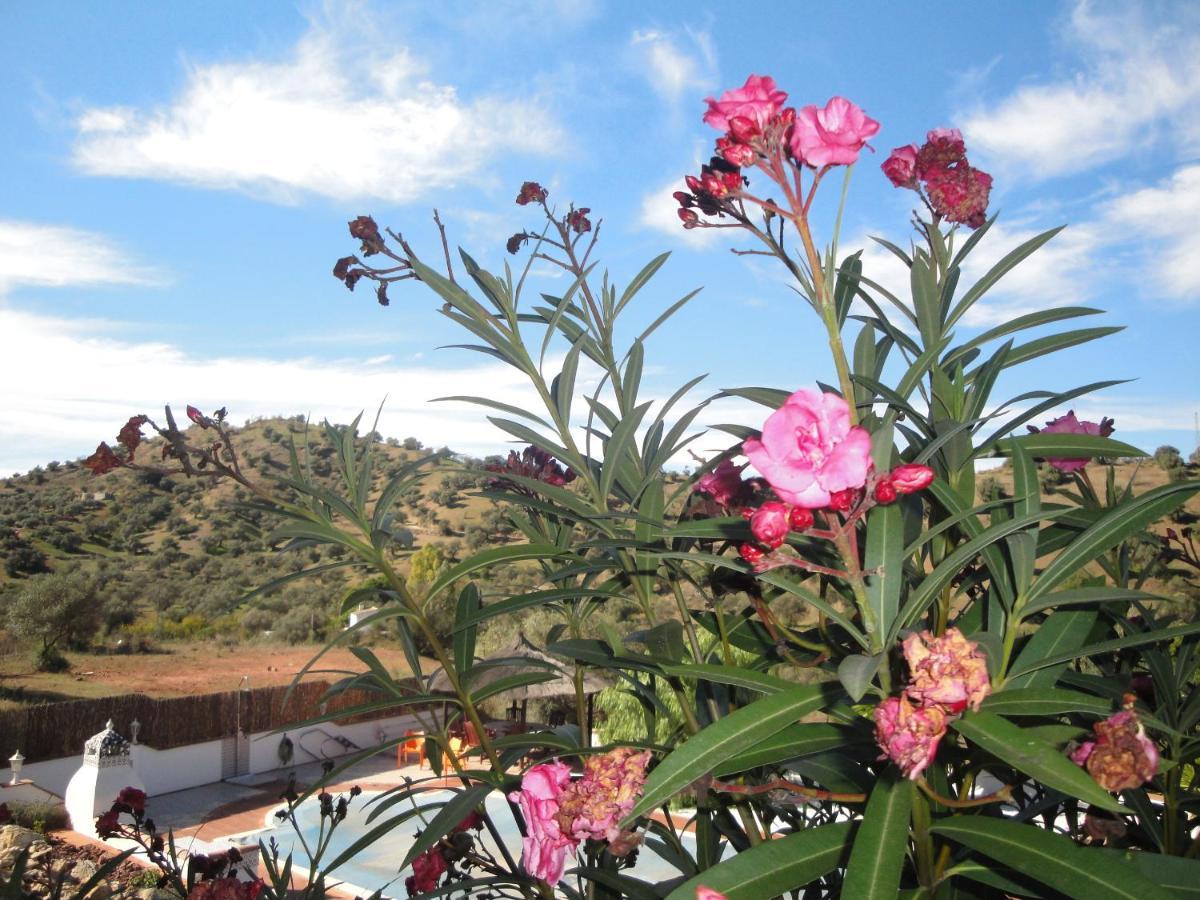 B&B Casa El Corasueno Almogía Eksteriør bilde